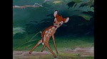 Image Bambi
