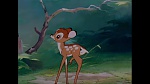 Image Bambi