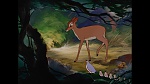 Image Bambi
