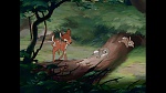 Image Bambi