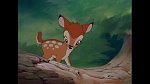 Image Bambi