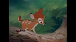 Image Bambi