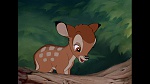 Image Bambi