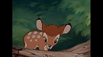Image Bambi