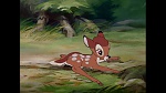 Image Bambi