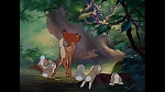 Image Bambi
