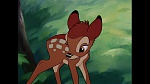 Image Bambi