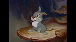 Image Bambi