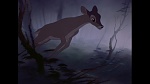 Image Bambi