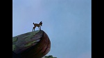 Image Bambi