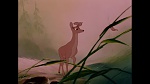 Image Bambi