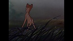 Image Bambi