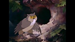 Image Bambi