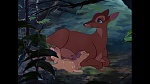 Image Bambi
