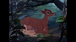 Image Bambi
