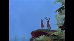 Image Bambi