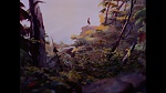 Image Bambi