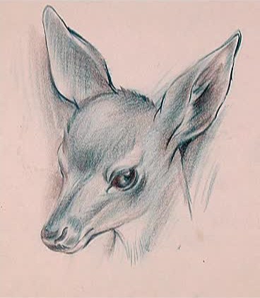 Les