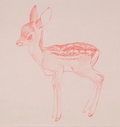 L 39