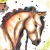 Windhowler