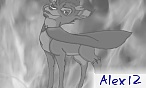 Alex 12