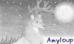 Amyloup