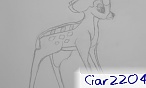 Coco2204