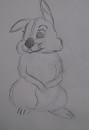 Adult Thumper