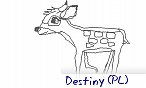 Destiny (PL)