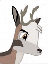 Gifty for Saske, Tuktu drawing!