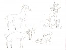 Bambi doodles