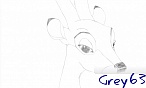 grey63