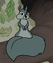 Up-coming Squirrel Character...
