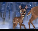th�me  premi�res neiges  Pauvre Bambi...