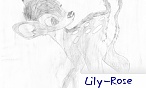 Lily-Rose