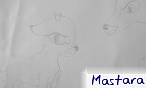 Mastara