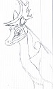 Shila sketch