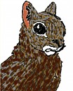 Patter (realistic colors)