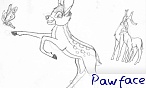 Pawface