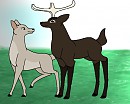 Malvon and Almond
