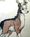 Tuktu Gift
