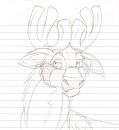 Tuktu headshot