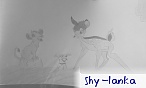 Shy lanka