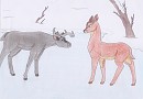 Ronno aux bois d'argent