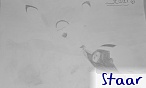 Staar