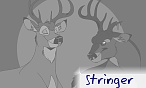 stringer