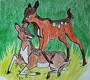 Djenva and his brother Cleft as fawns
