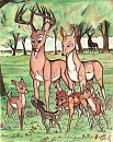 'Wha . . What a lot of fawns, sister!'