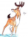 Djenva's brother Cleft, adult