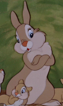 Detail Madame Lapin